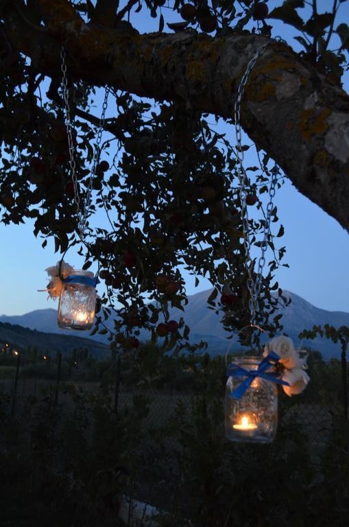 Agriturismo Villa Palentina 斯库科拉－马西卡纳 外观 照片