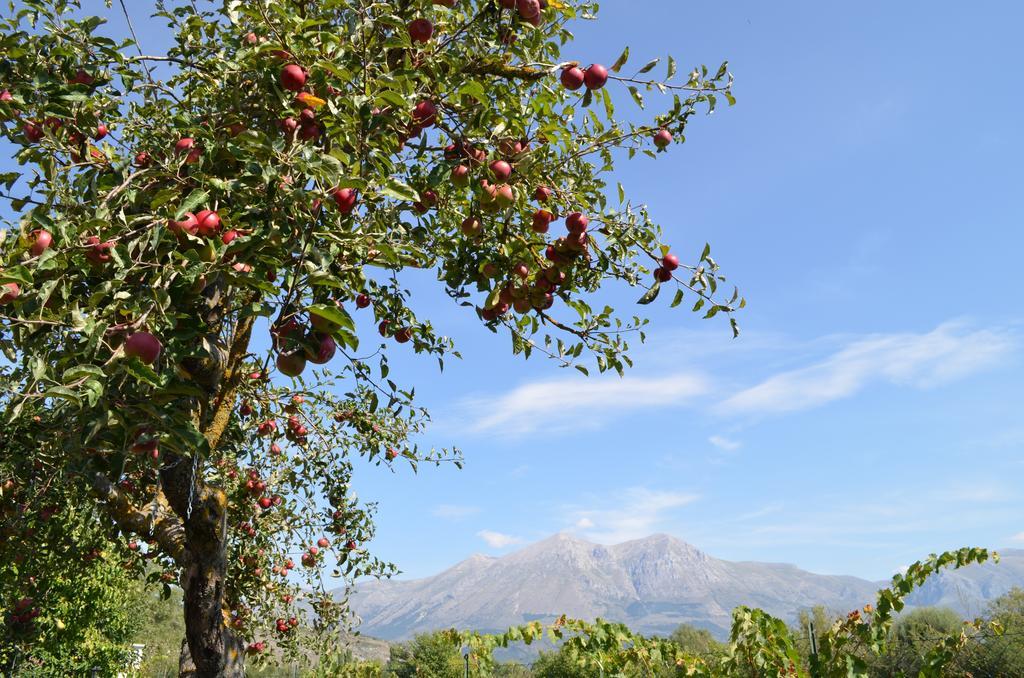 Agriturismo Villa Palentina 斯库科拉－马西卡纳 外观 照片
