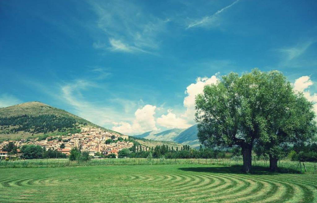 Agriturismo Villa Palentina 斯库科拉－马西卡纳 外观 照片