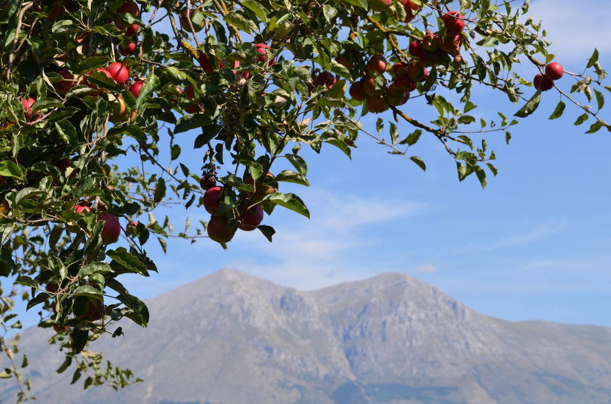 Agriturismo Villa Palentina 斯库科拉－马西卡纳 外观 照片